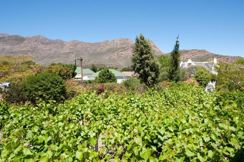 7 Church Street Guest House Montagu Room photo